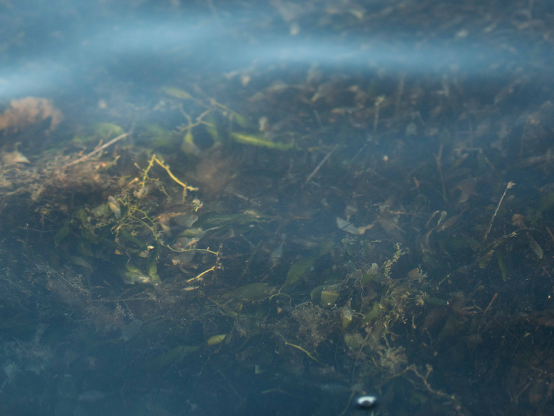 Oltre le frontiere, tra le acque