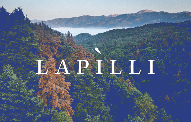 1/26: Gli impatti delle olimpiadi invernali, impianti sciistici fantasma, foreste sotto attacco