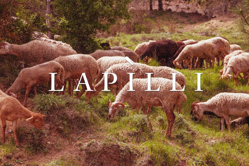 10/26: Agriculture Under Strain, Transhumance as a Tool Against Wildfires, the Arbëreshë’s Uncertain Future in Piana degli Albanesi