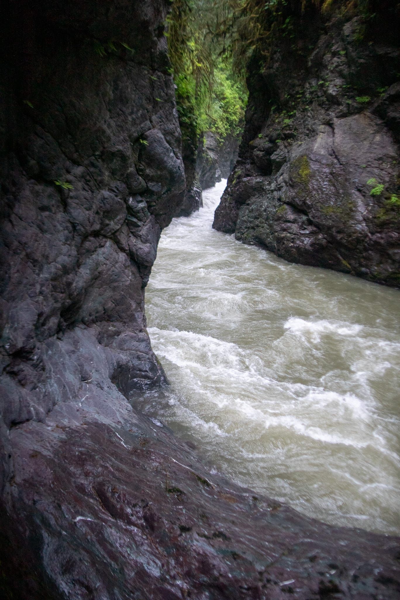 Reclaiming Exploration