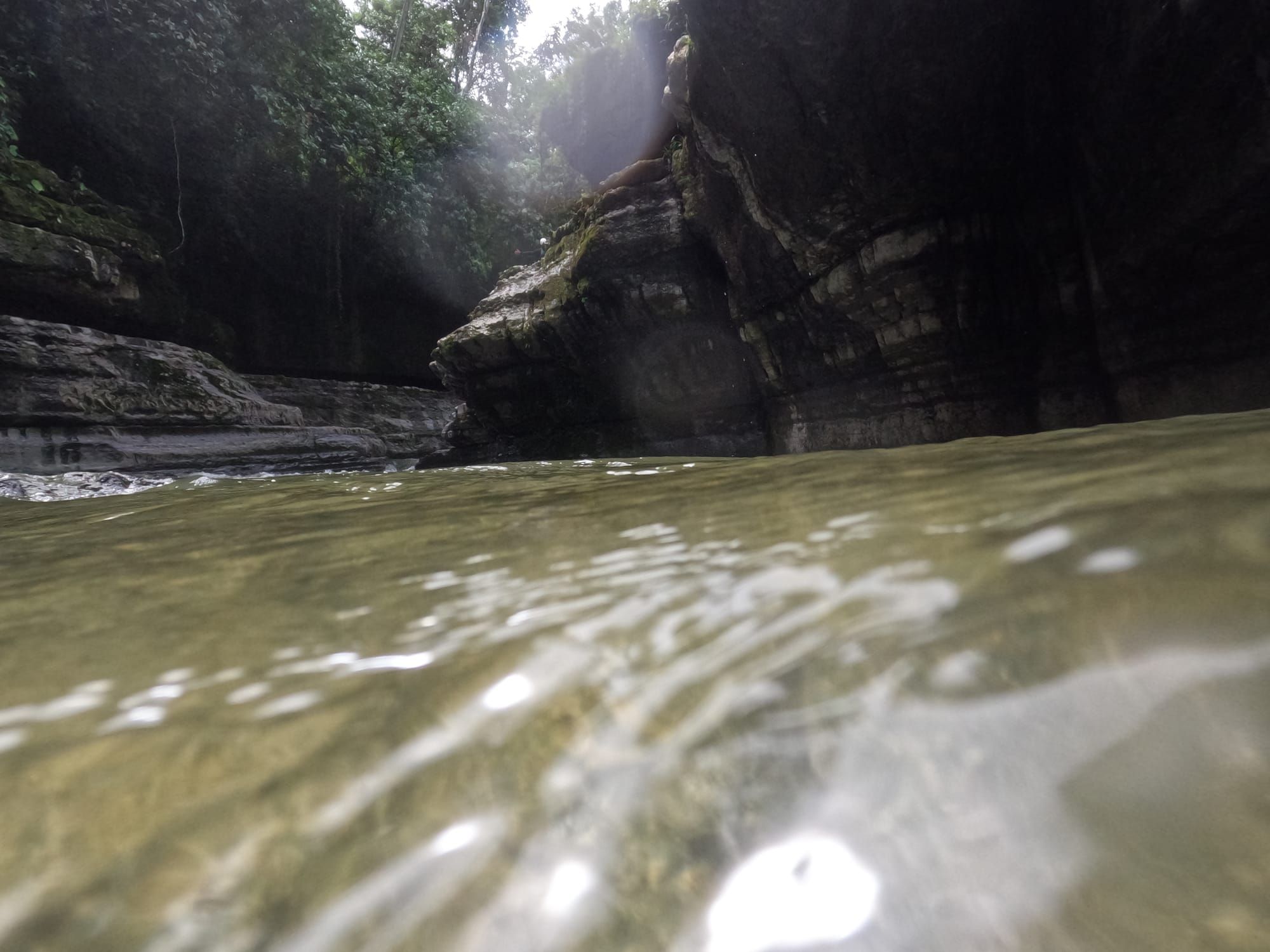Let Rivers Lead the Way