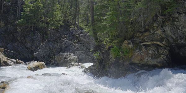 What Is the "Salish Sea"?