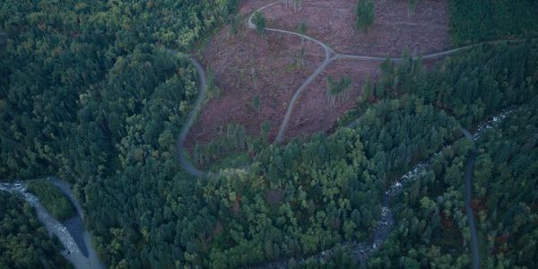 Logging in the Nooksack Basin -will it increase flooding and destruction of salmon habitat?