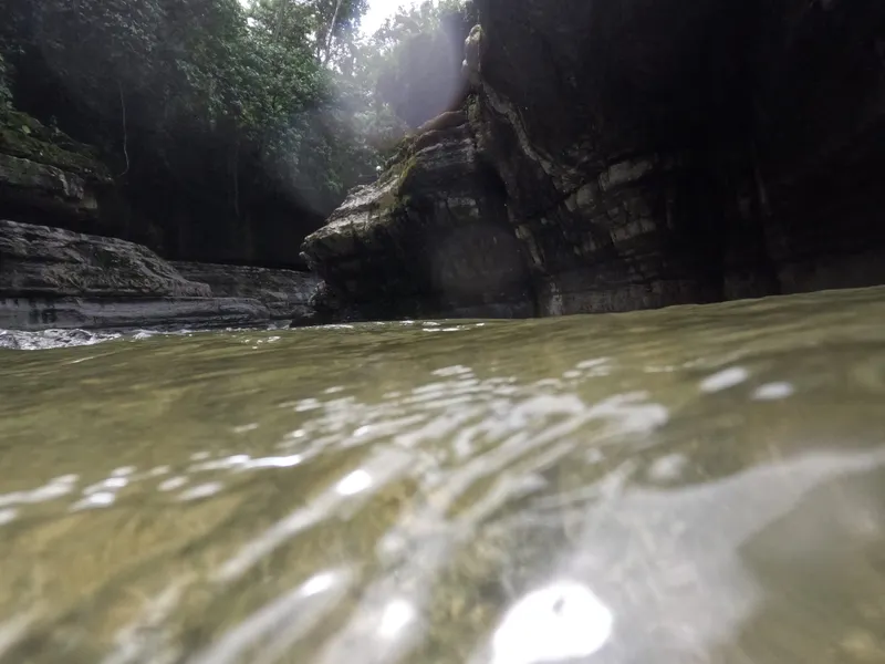Let Rivers Lead the Way