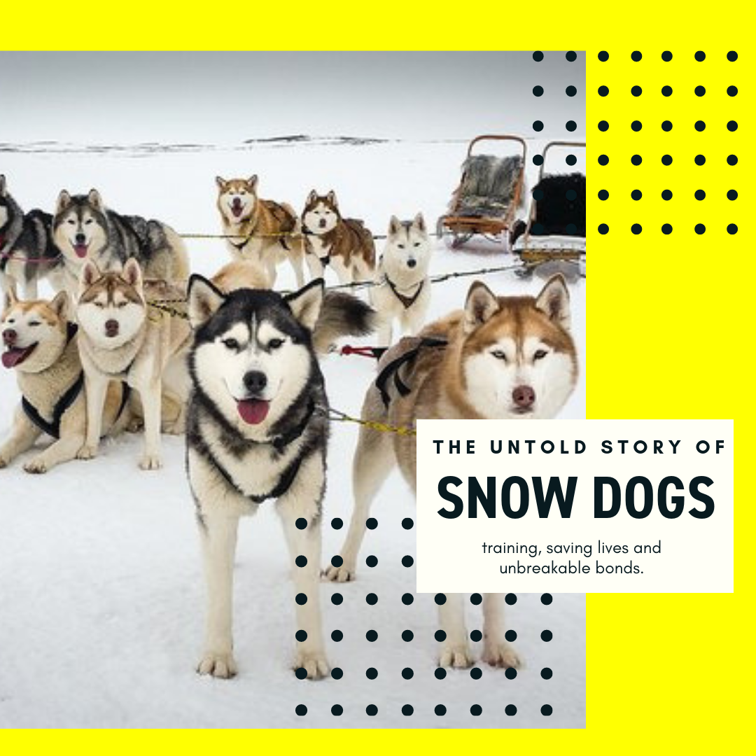 The Untold Story of Show Dogs