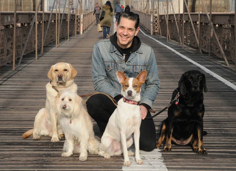 Agility Training at Home with DogBoy NYC