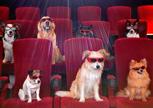 Can You Name the Dog in Each of These Blockbuster Movies?