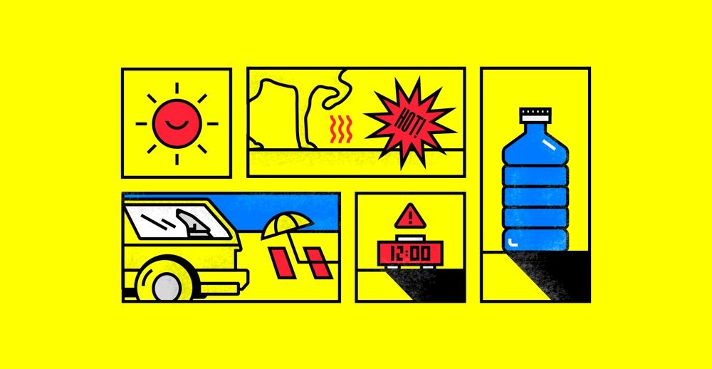 Summertime Safety Tips: Ask Dr. Jeff