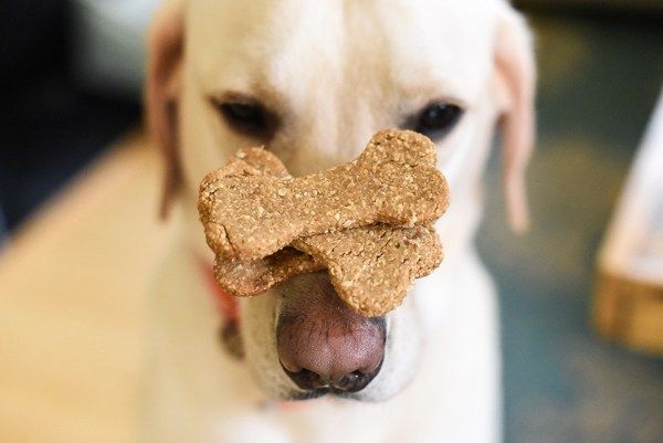 4 Drool-Worthy Peanut Butter Recipes