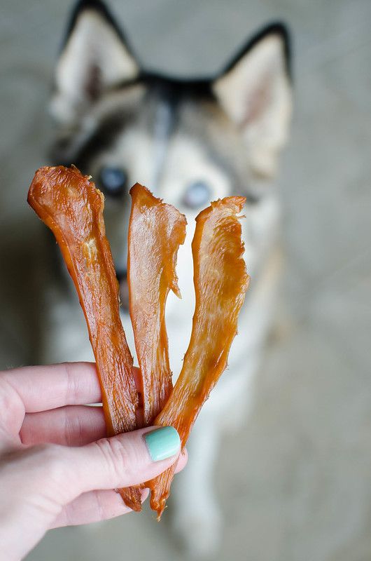 Single Ingredient Dog Treats