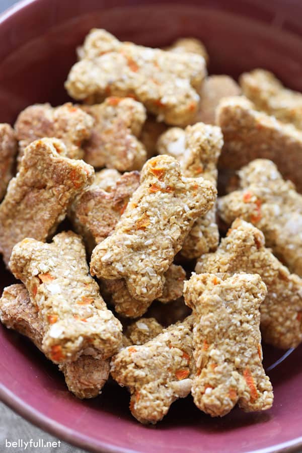 Carrot Dog Treat Recipes