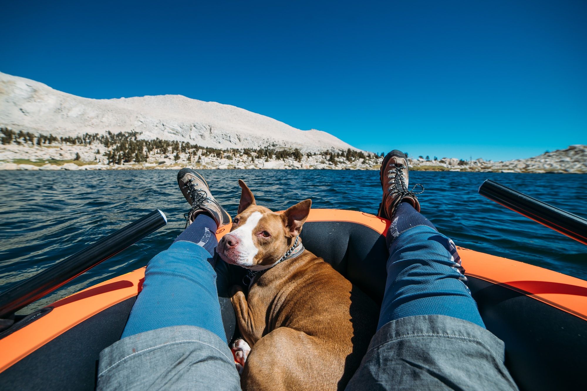 The Top 4 Best Kayaks For You And Your Dog (Updated 2024)