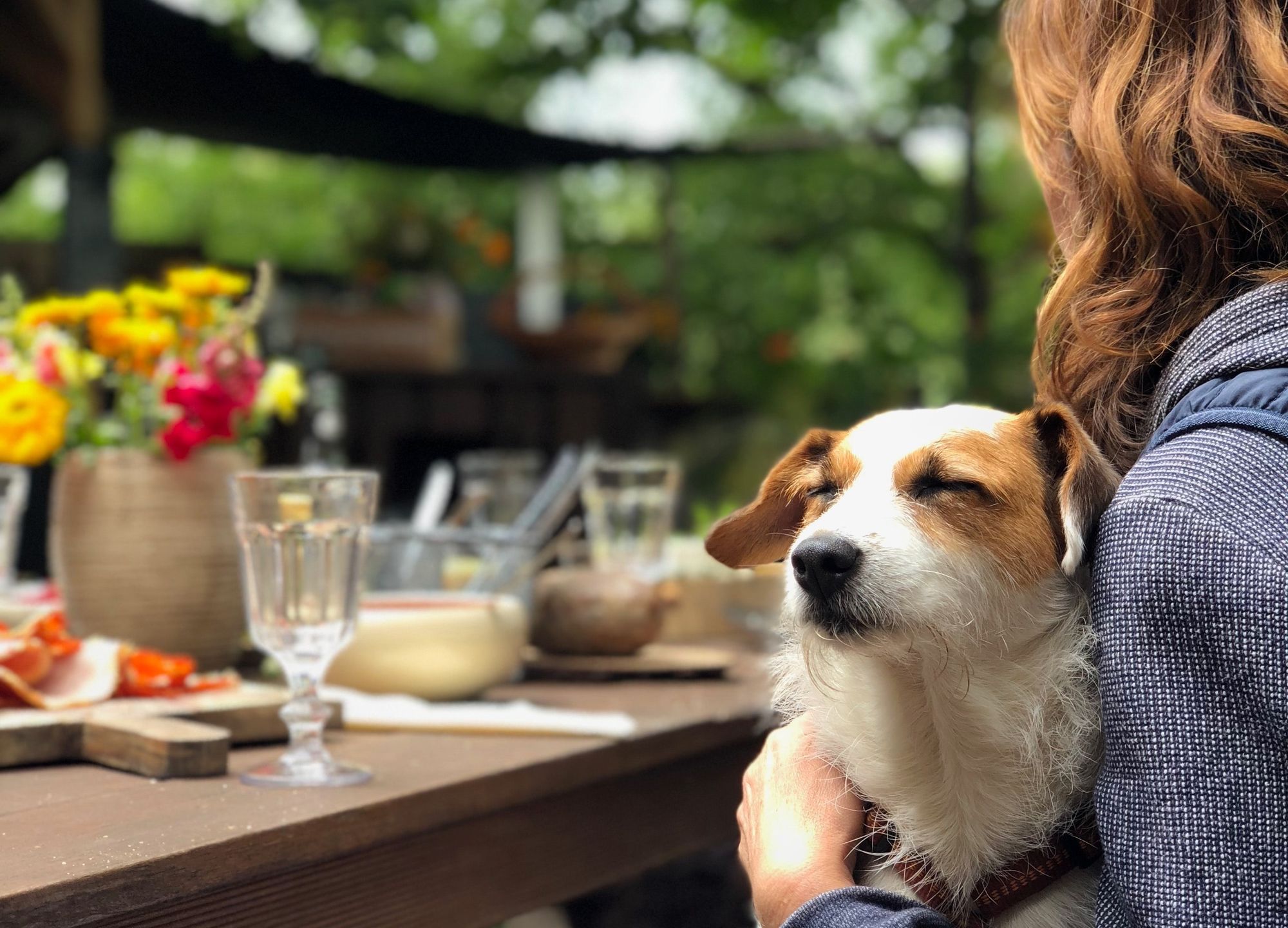 Dog-Friendly Things to Do in Austin, TX