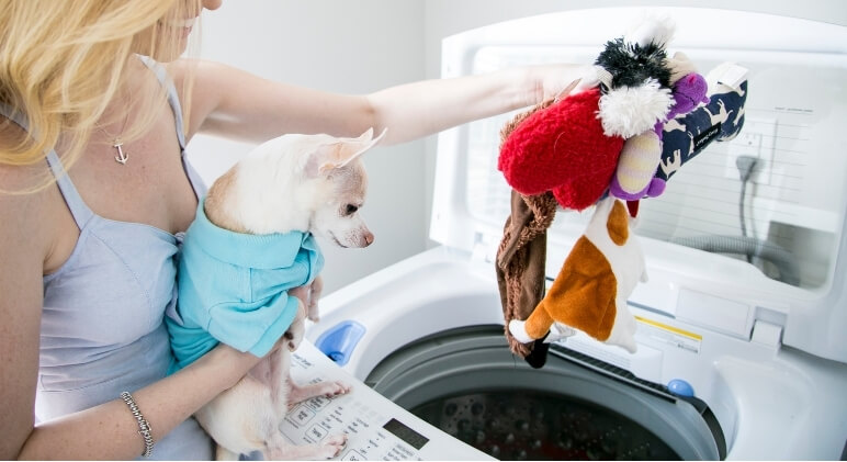 washing your dogs toys in the washing machine