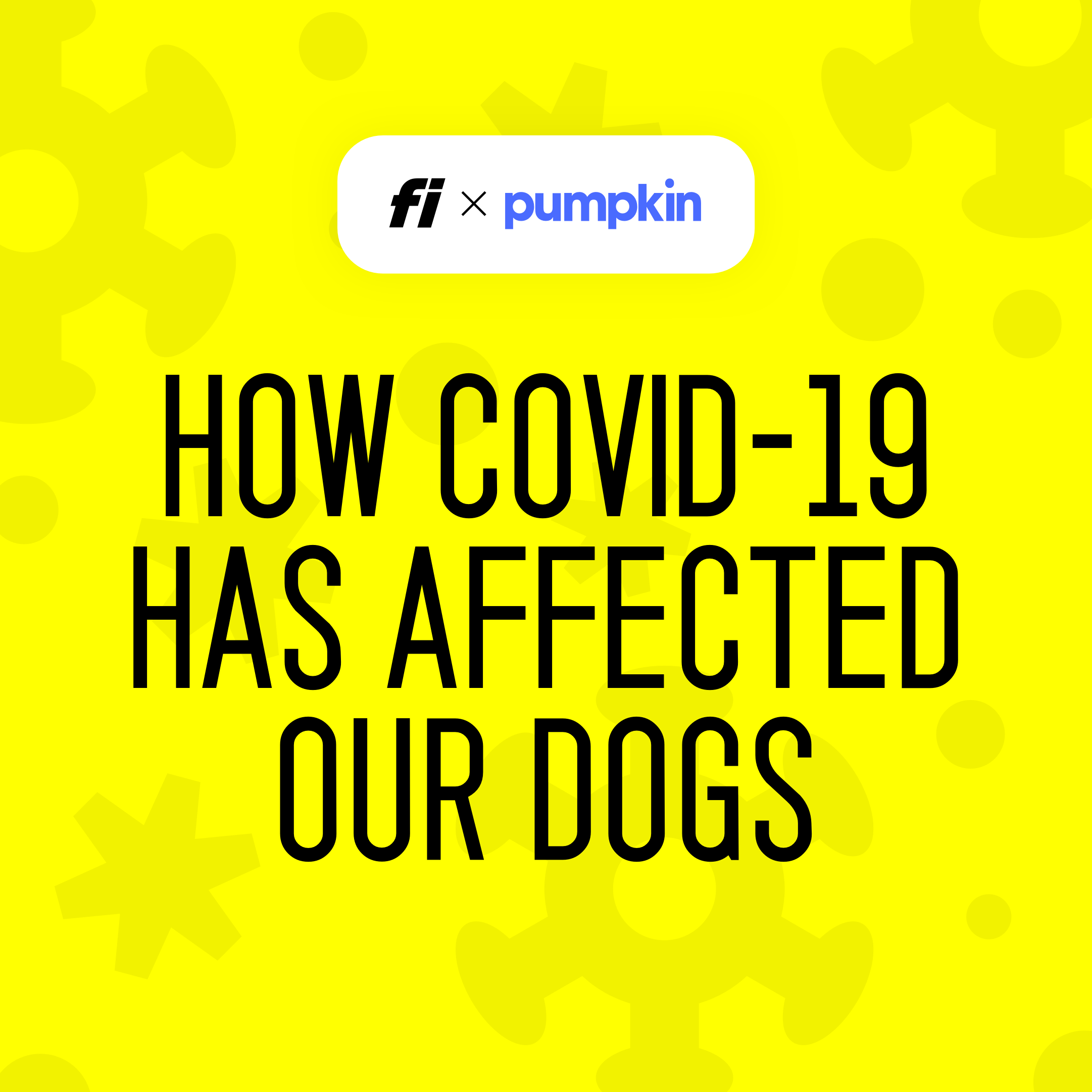 How Covid-19 Has Affected Our Dogs