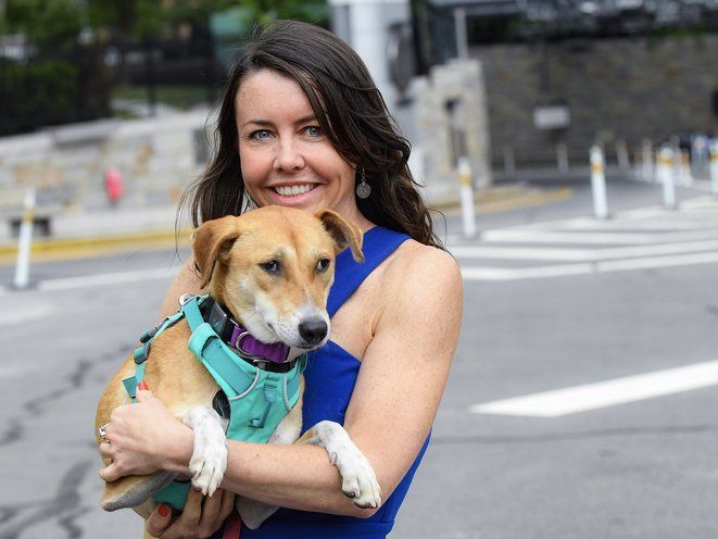 Fi in the News:  Escaped Upper West Side Dog Gets Fi Collar