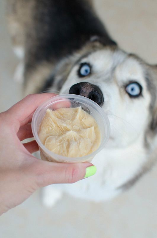 Dog Ice Cream Recipes