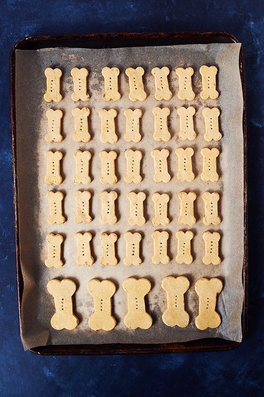 Salmon Dog Treat Recipes