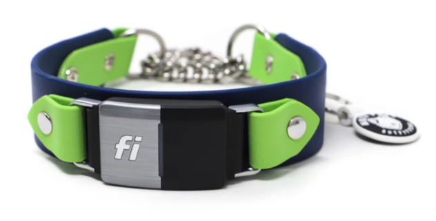 Green Dog Collar - Dog Gear You Need