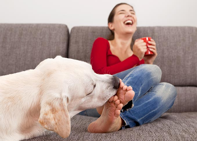 Why Does My Dog Lick My Legs? Find Out Why And More!