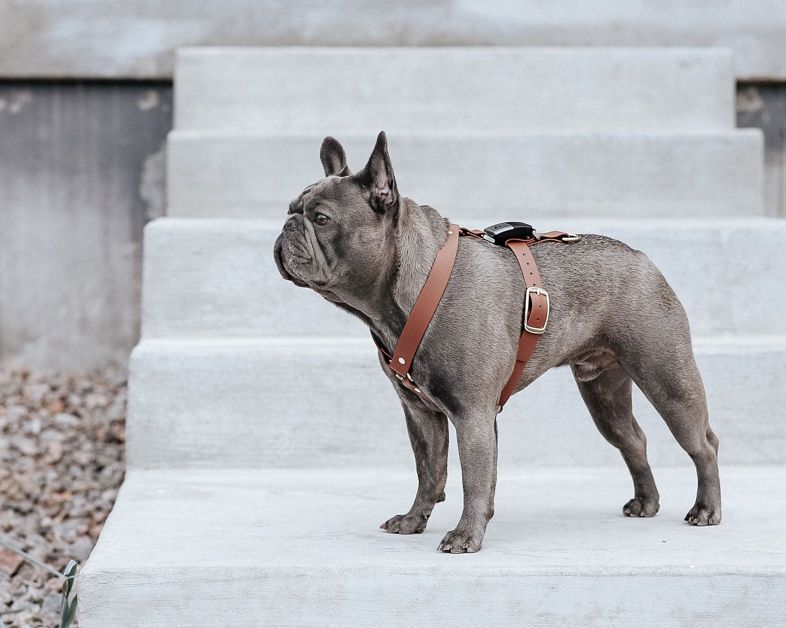 New Maker Alert: Oliver & Ash