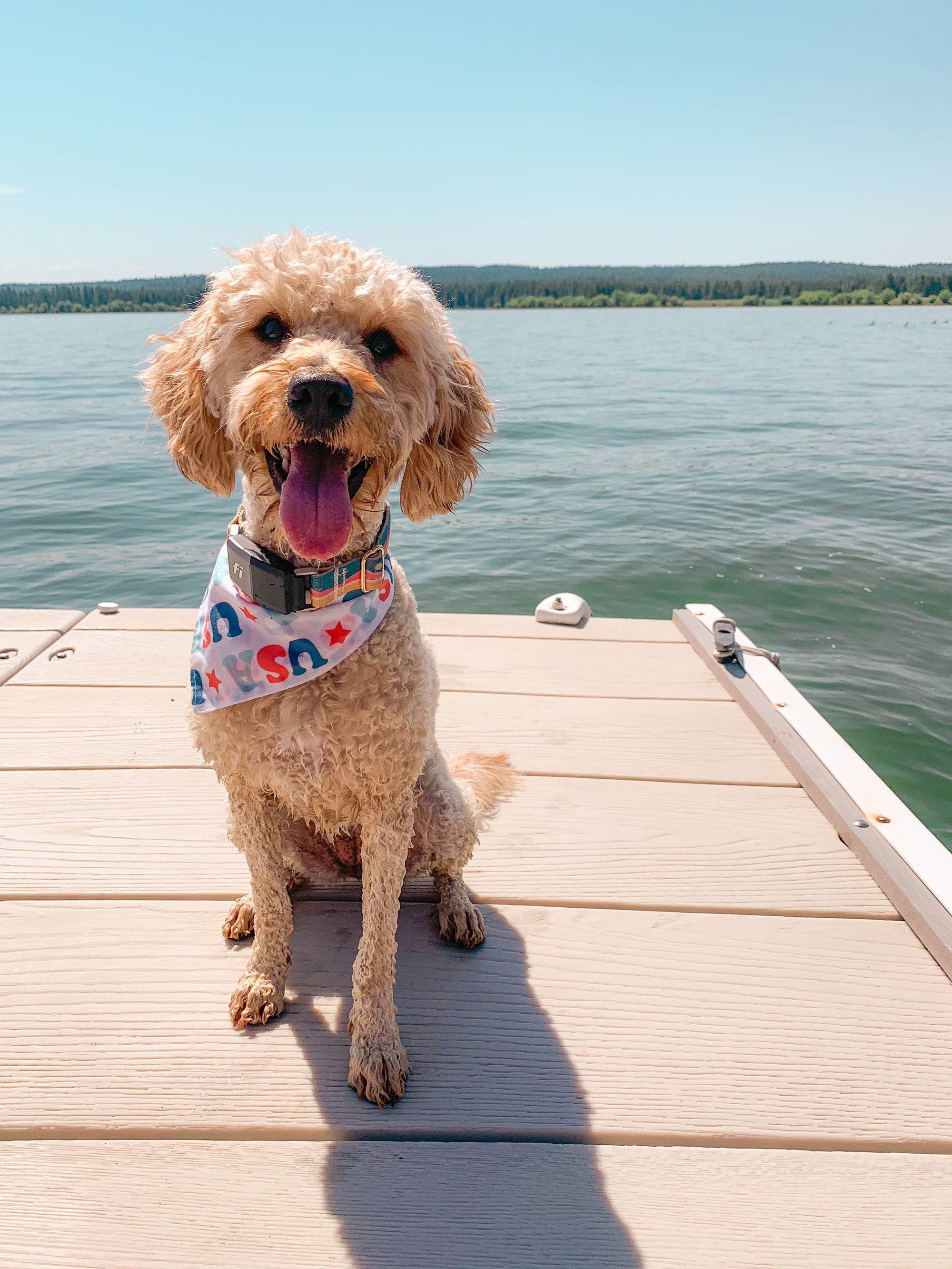 New Maker Alert: Sunthreads