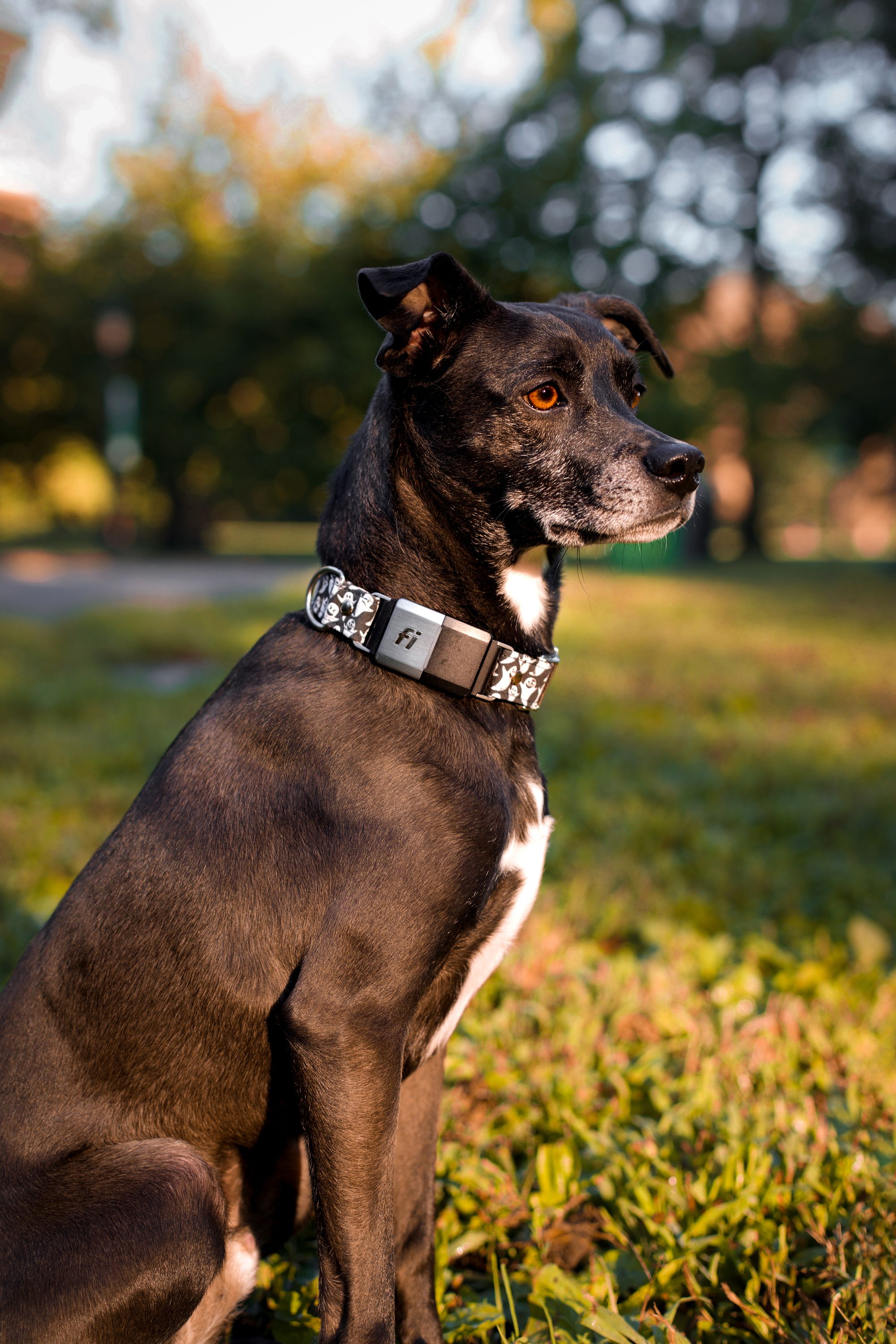 Autumn Tips: Ask Dr. Jeff