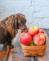 Cooking With Fi: Jax's DIY Apple "Kong"