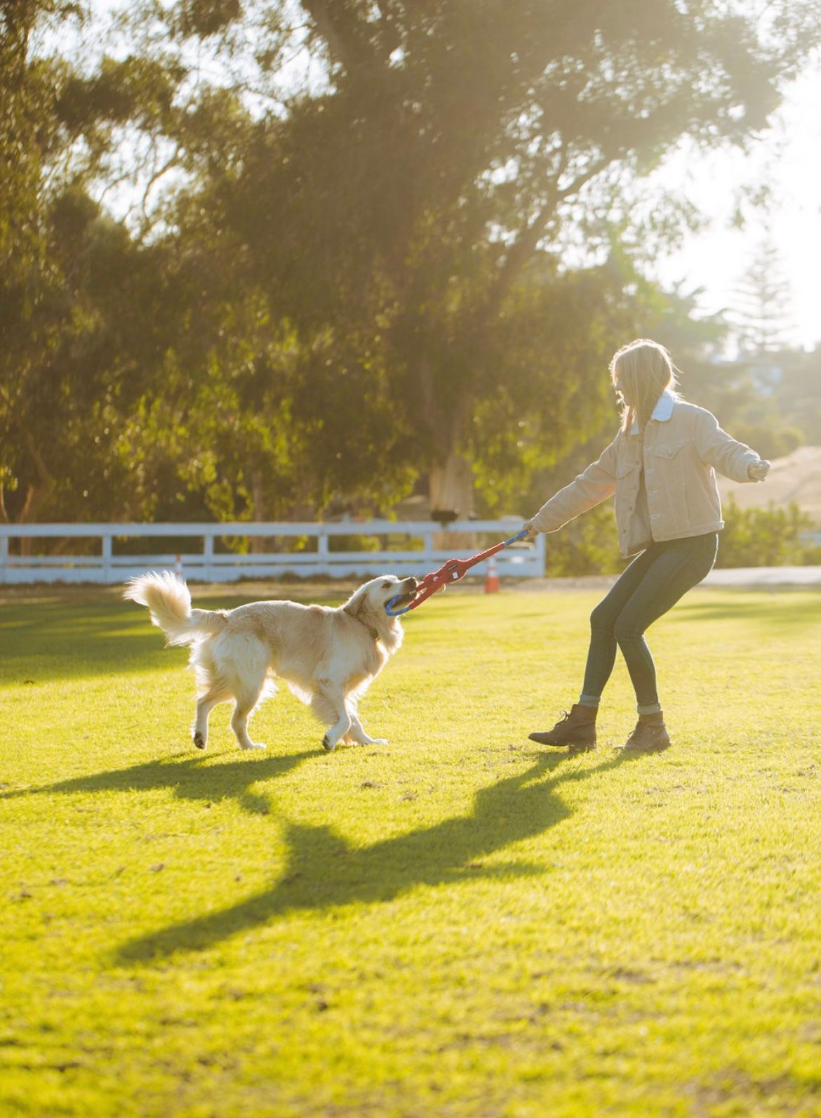 Adding Enrichment To Ensure Your Dog is Living Their Best Life