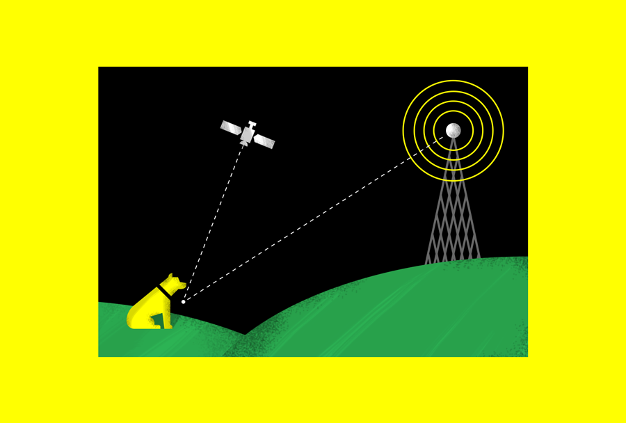 How does the Fi Collar GPS/LTE-M tracking work?