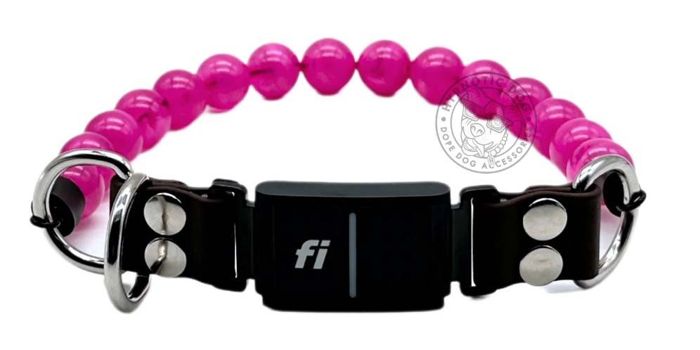 Beaded Dog Collar: A Stylish Accessory for Your Pet