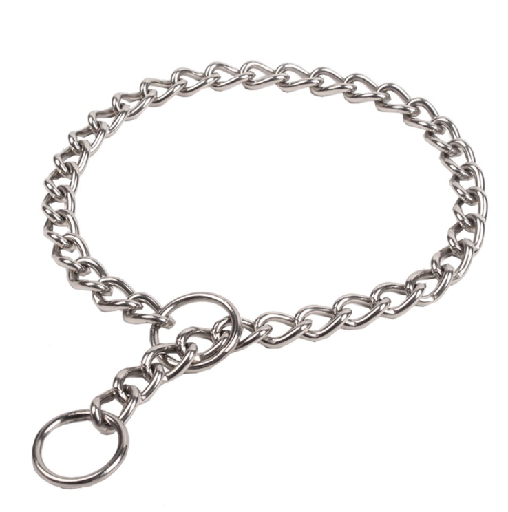 Where Should You Attach a Leash to a Choke Chain Style Collar?