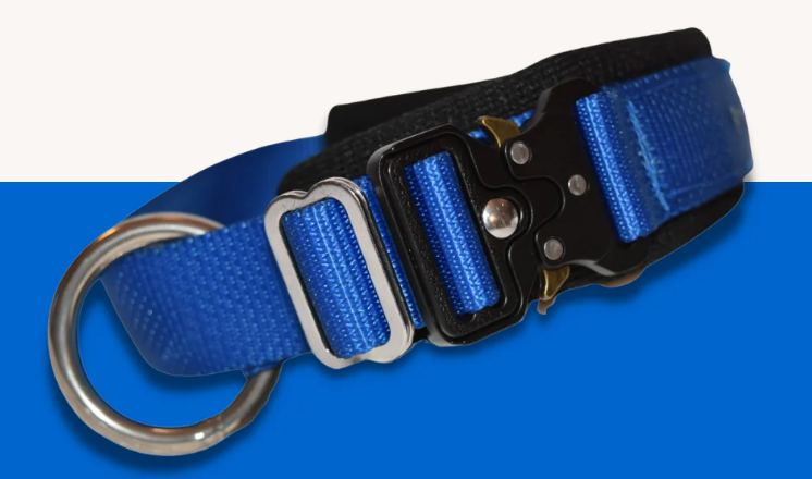Elite Dog Collar