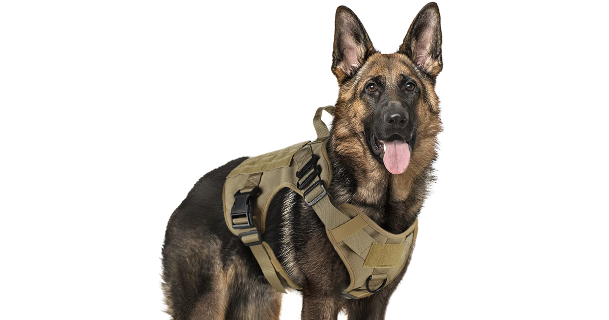 Discover the Best Harness for a German Shepherd: A Comprehensive Guide