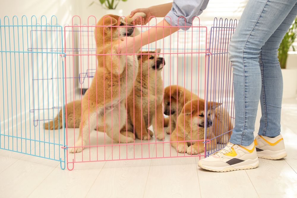 Dog Playpen