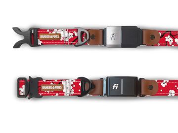 Banded Pines Fi Collar