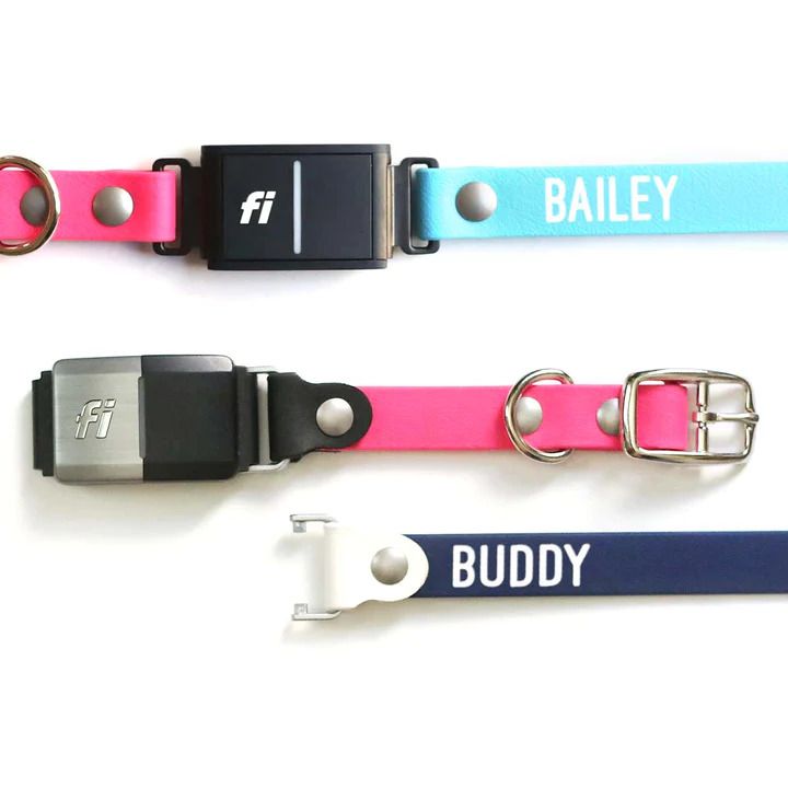 Clive & Bacon Fi Compatible Collar