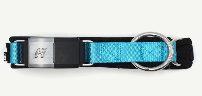 Elite Dog Collar