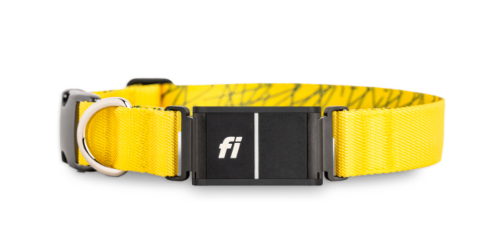Fi GPS Tracking Dog Collar