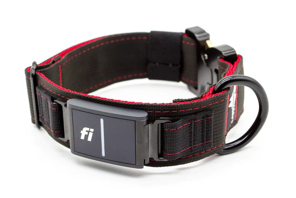 Landshark Supply Fi Collars