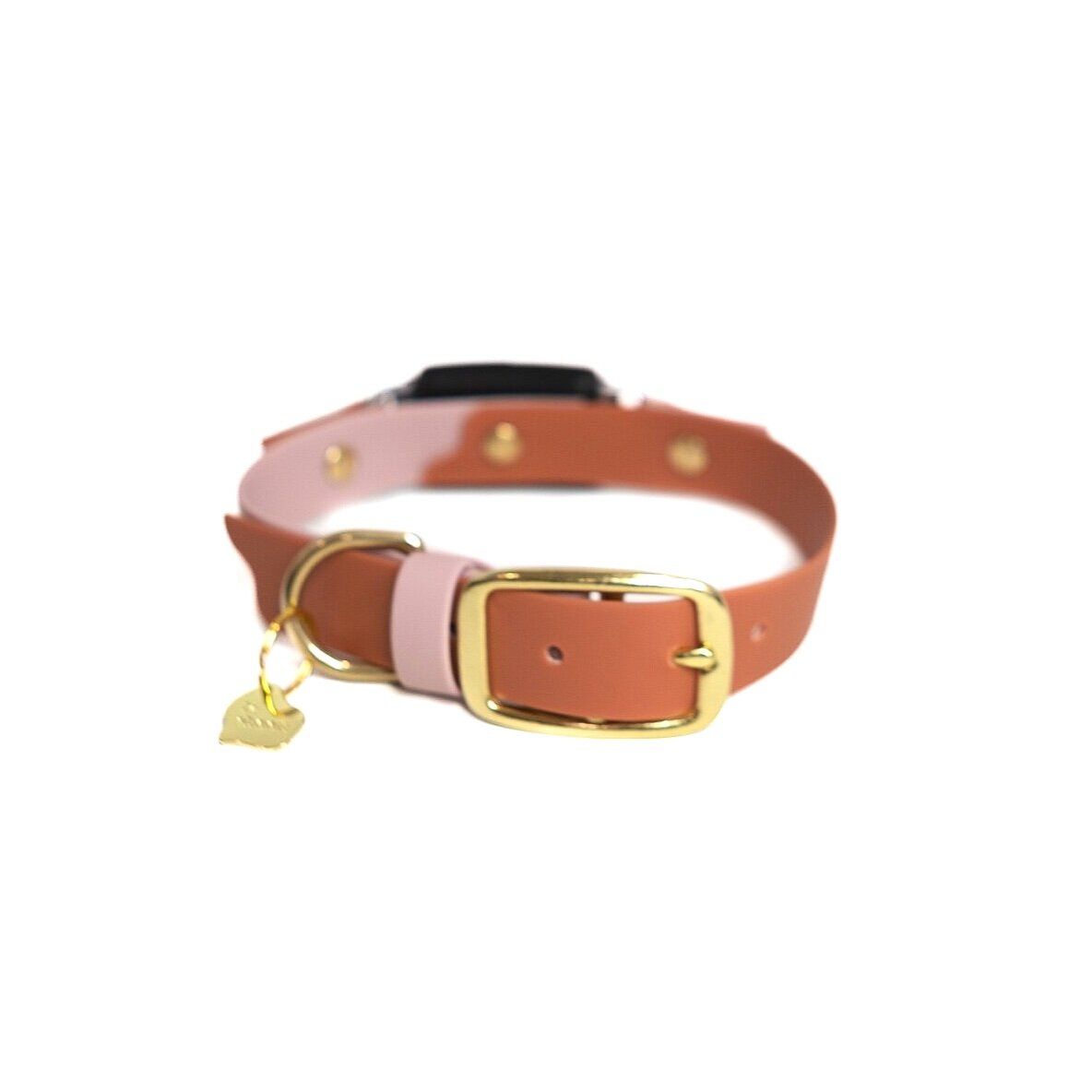Lee shoob fi buckle collar