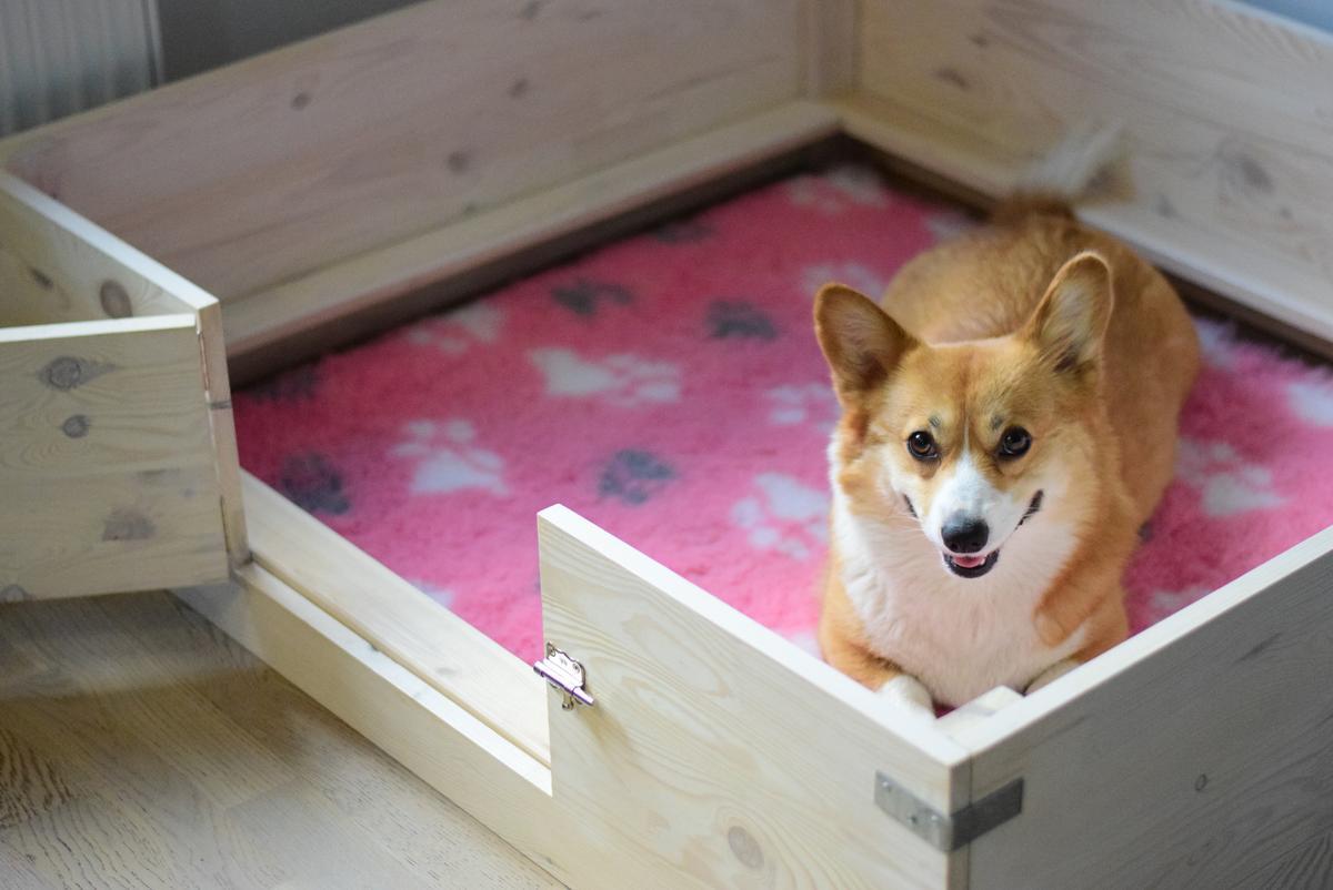 Whelping Box