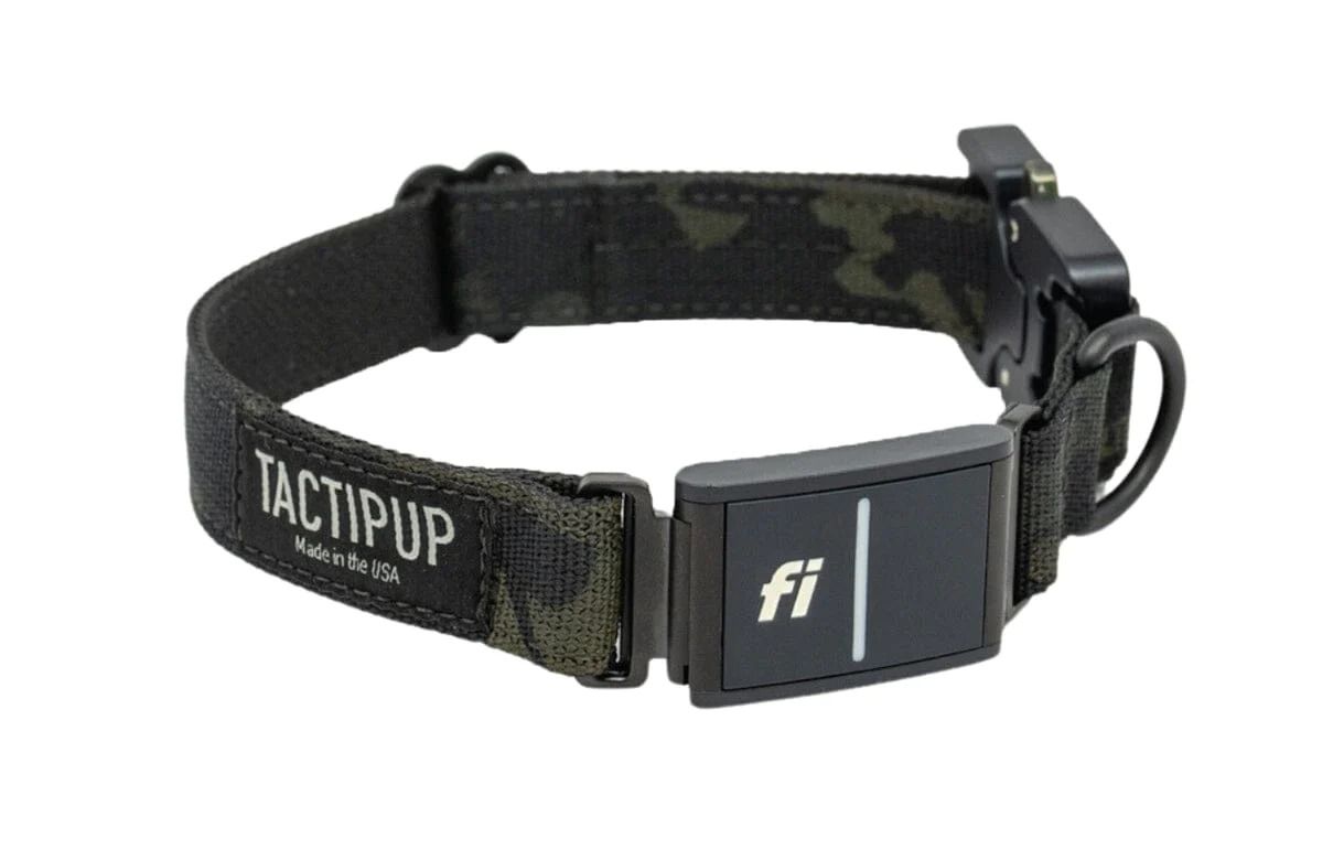 Tactipup Fi Collar Band 
