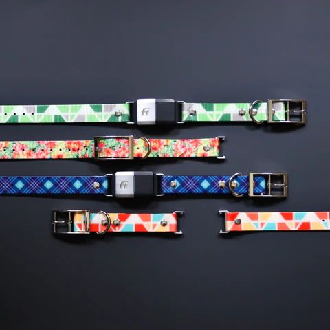 Zaley Designs collar