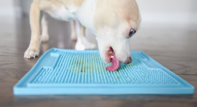 Dog Lickmat