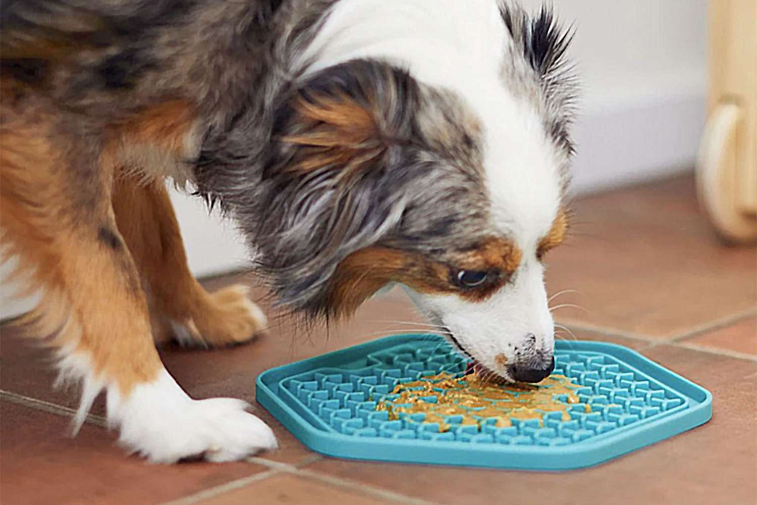 lickmat for dogs