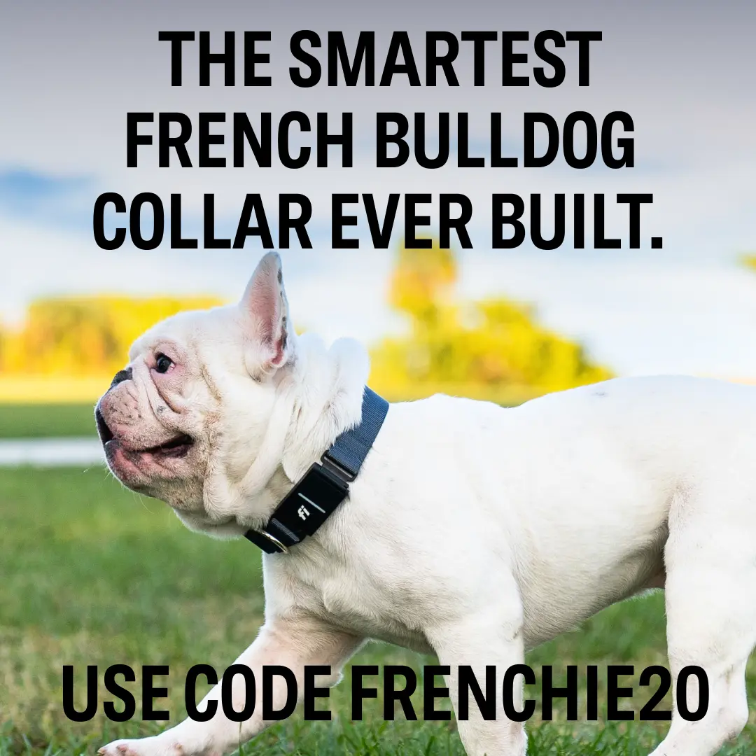 Code FRENCHIE20 For BullDog Smart Collor