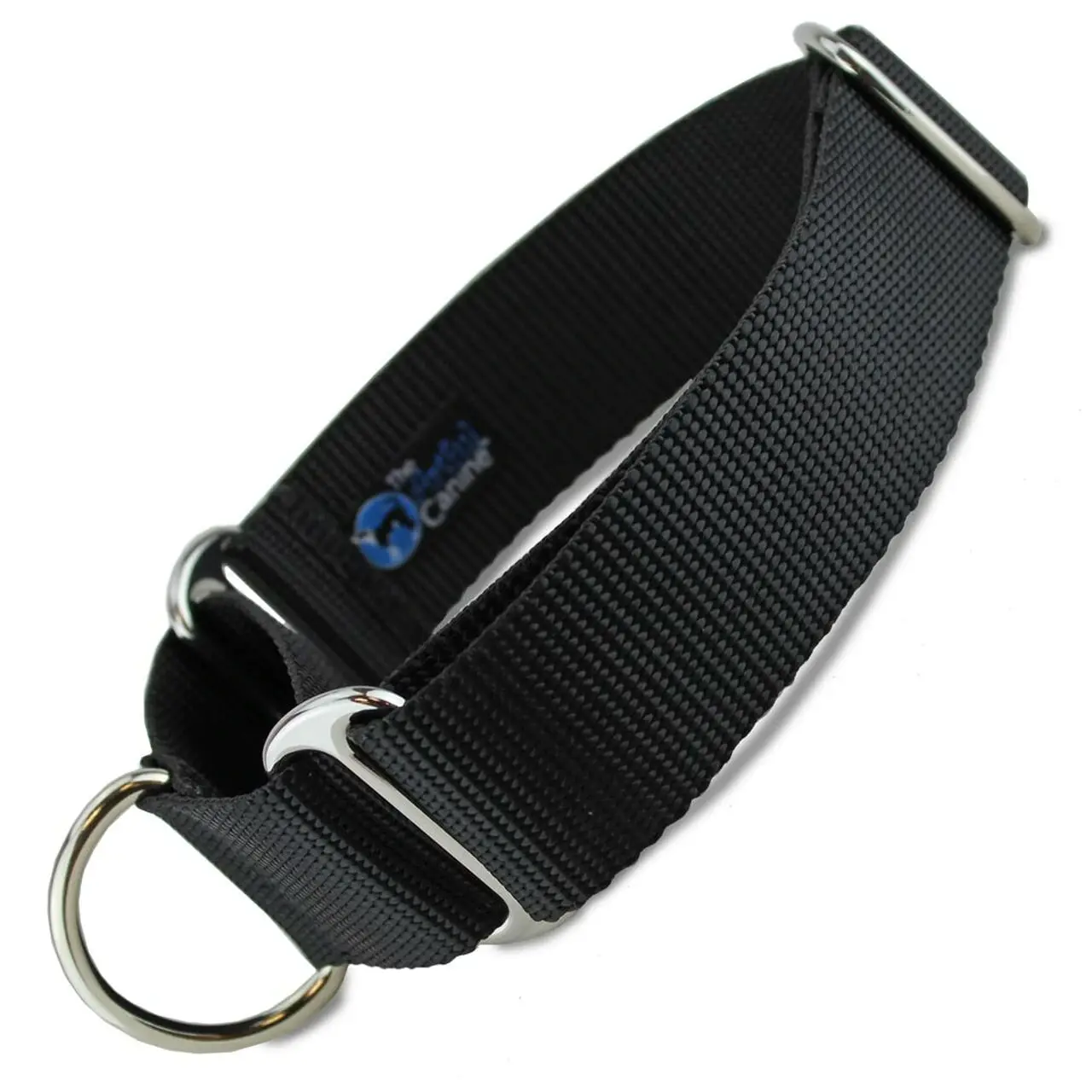 The Artful Canine’s Wide Martingale Collar
