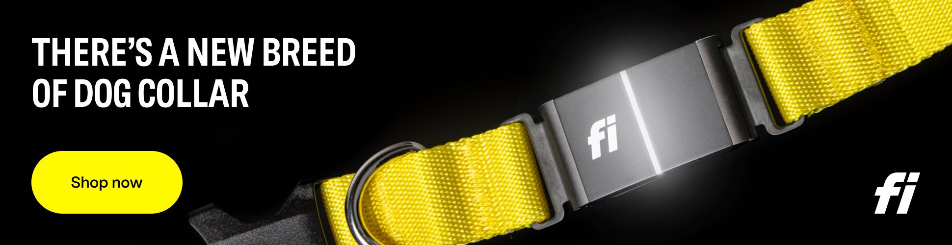 fi collar