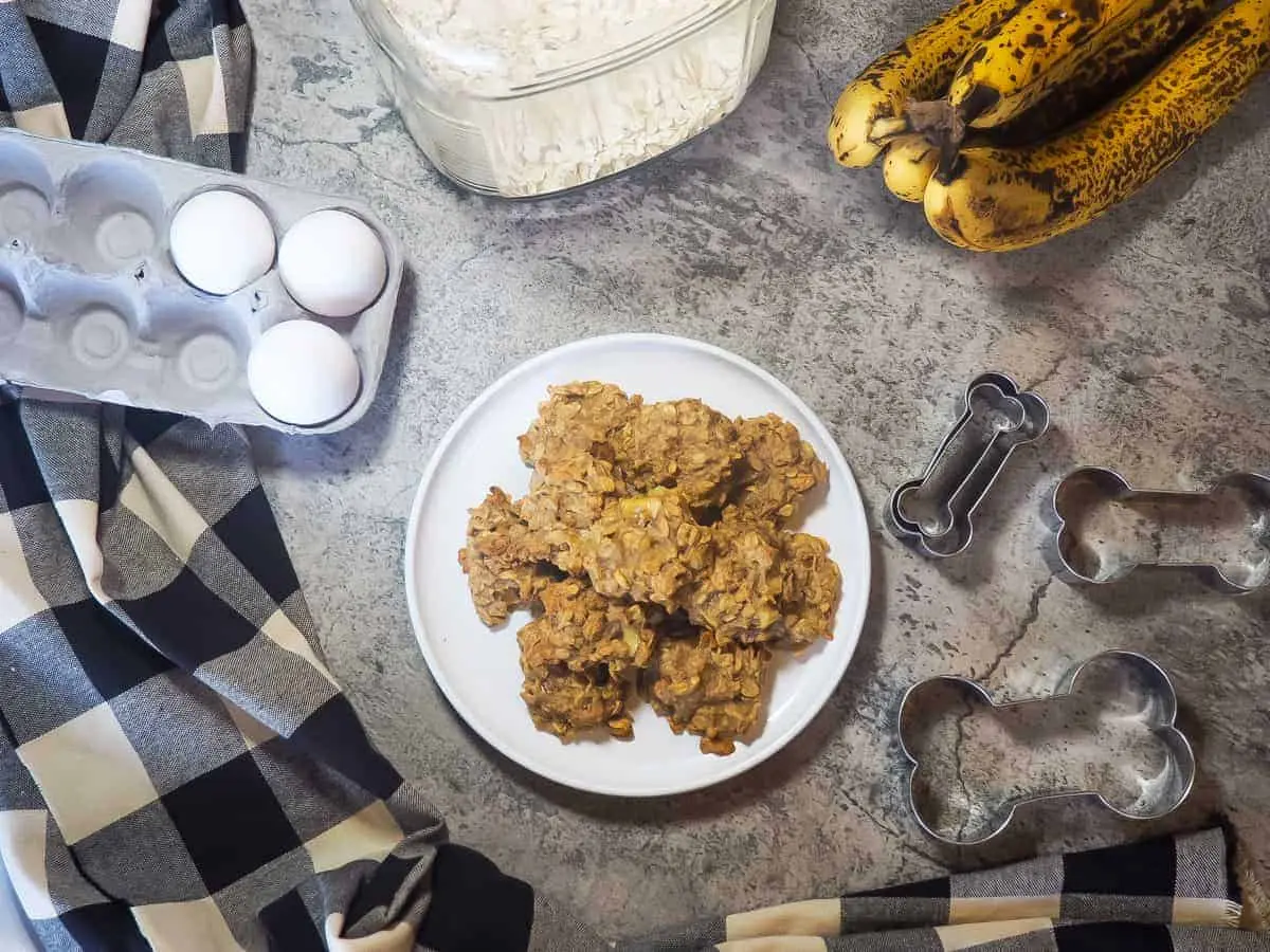 PEANUT BUTTER DOG TREAT RECIPES